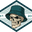 hibiscusbuckets.com favicon